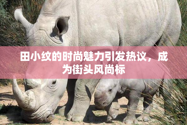 田小纹的时尚魅力引发热议，成为街头风尚标