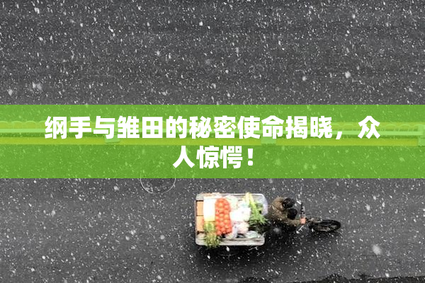 纲手与雏田的秘密使命揭晓，众人惊愕！