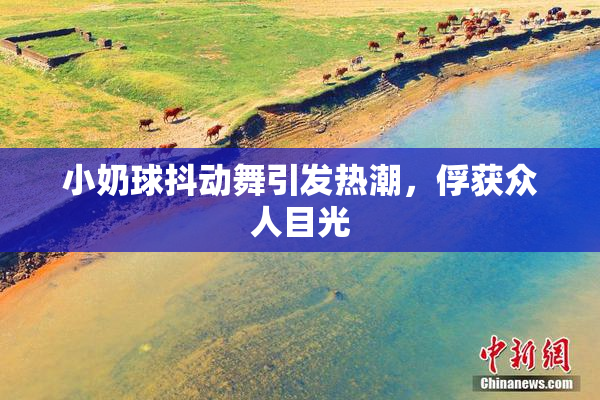 小奶球抖动舞引发热潮，俘获众人目光