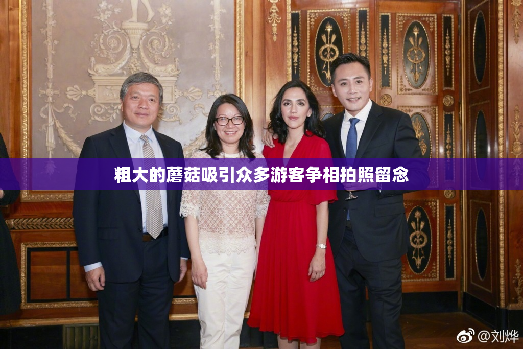 粗大的蘑菇吸引众多游客争相拍照留念