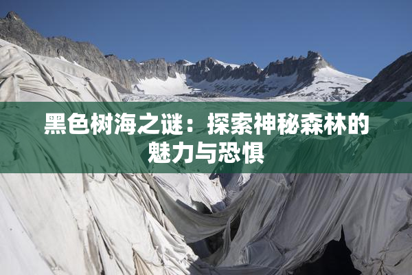 黑色树海之谜：探索神秘森林的魅力与恐惧