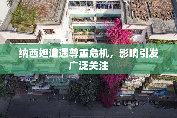 纳西妲遭遇尊重危机，影响引发广泛关注
