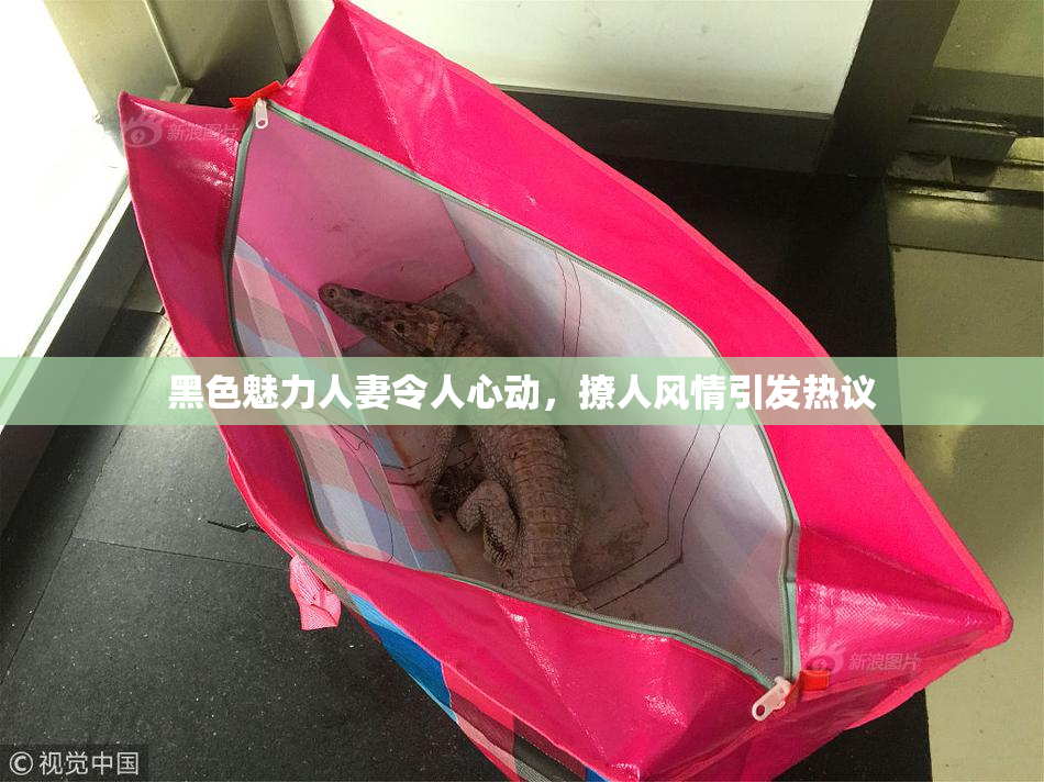 黑色魅力人妻令人心动，撩人风情引发热议