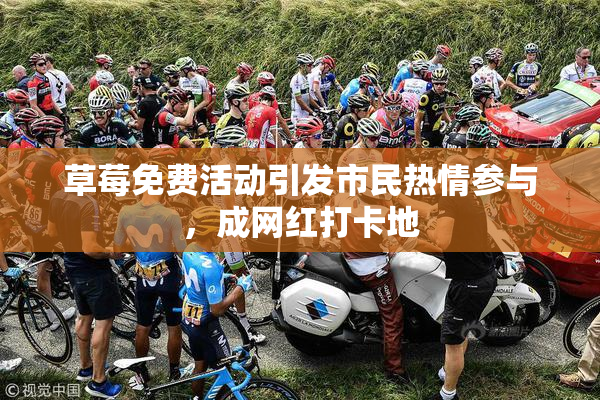 草莓免费活动引发市民热情参与，成网红打卡地