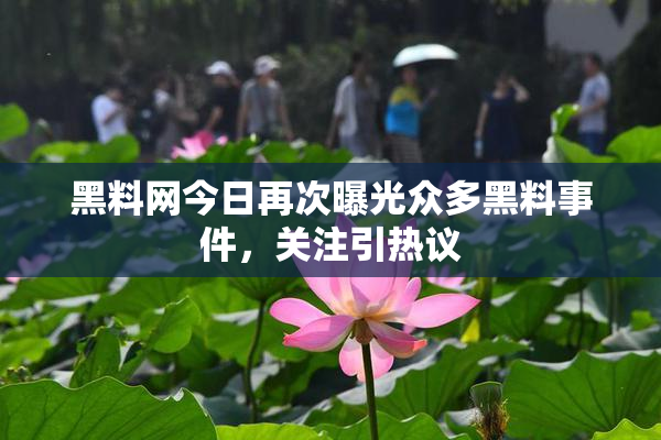 黑料网今日再次曝光众多黑料事件，关注引热议