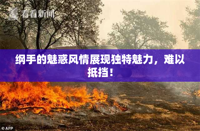 纲手的魅惑风情展现独特魅力，难以抵挡！