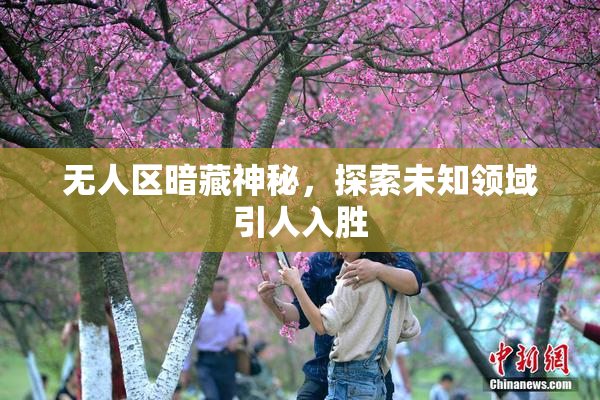 无人区暗藏神秘，探索未知领域引人入胜
