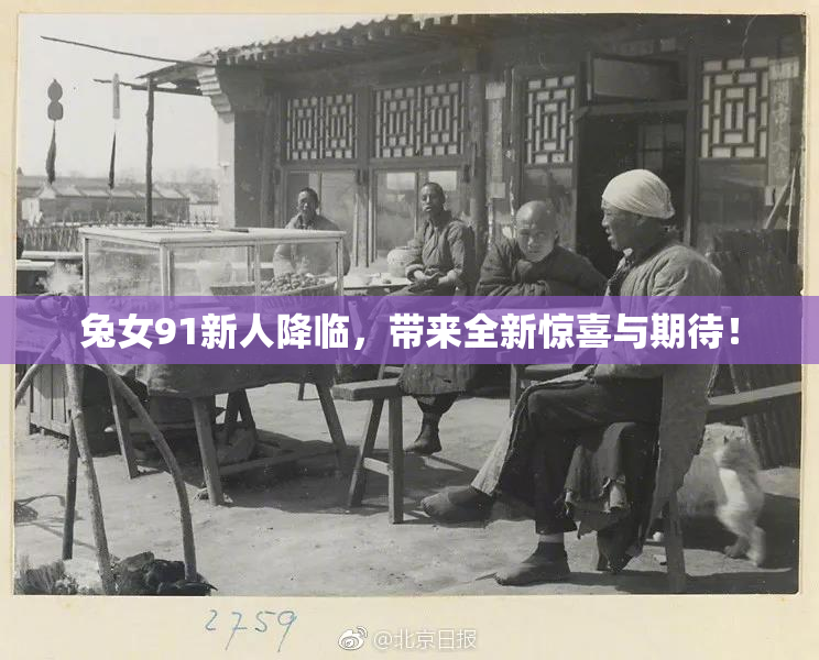 兔女91新人降临，带来全新惊喜与期待！