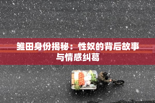 雏田身份揭秘：性奴的背后故事与情感纠葛