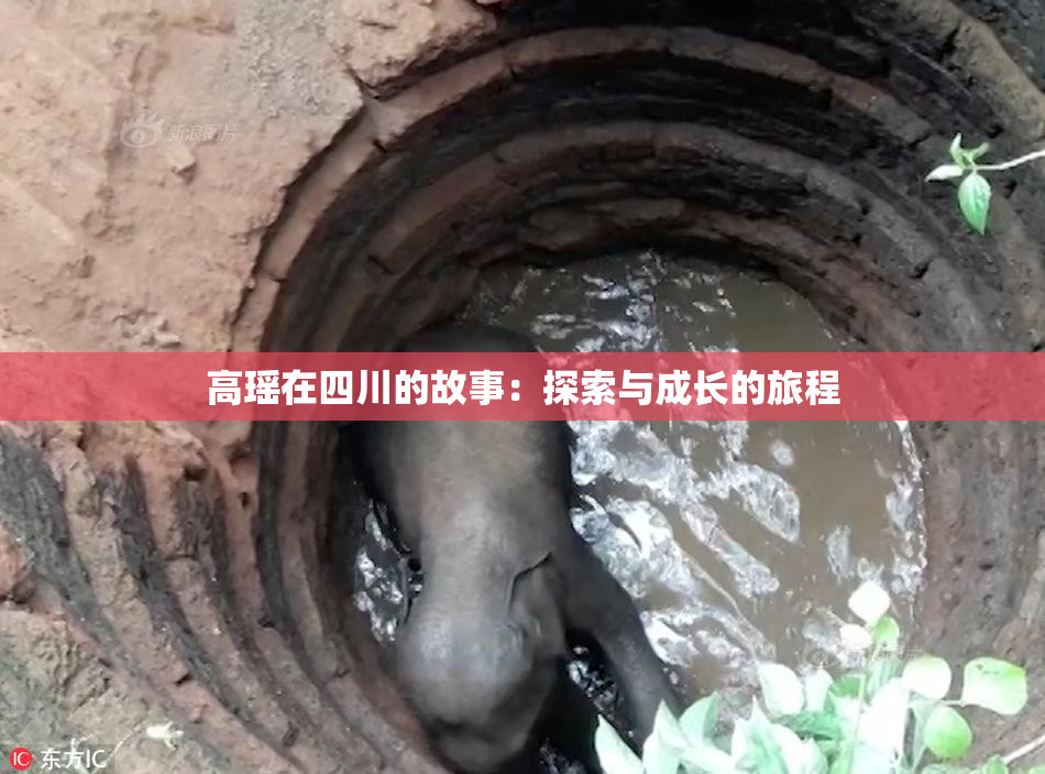 高瑶在四川的故事：探索与成长的旅程