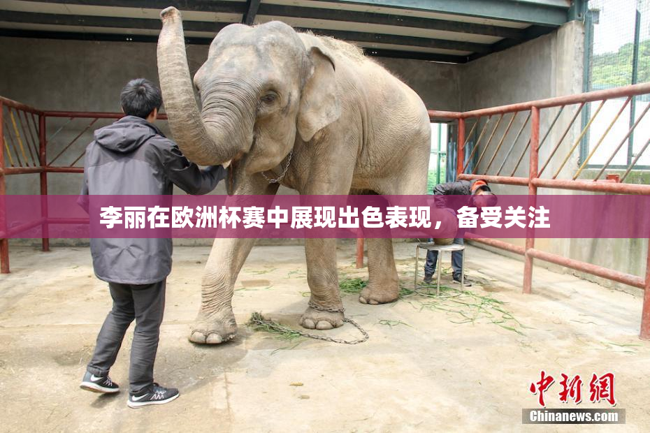 李丽在欧洲杯赛中展现出色表现，备受关注