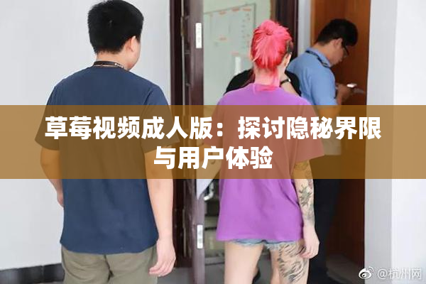 草莓视频成人版：探讨隐秘界限与用户体验