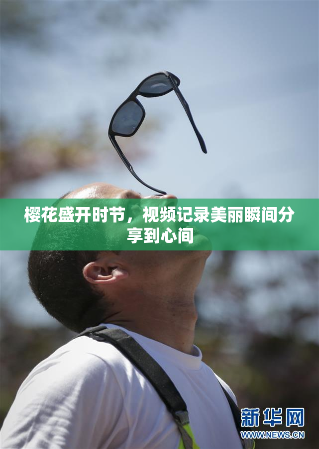 樱花盛开时节，视频记录美丽瞬间分享到心间