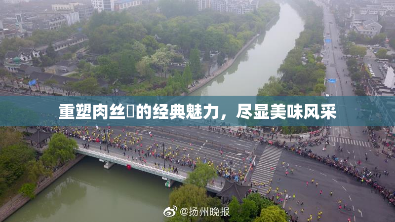 重塑肉丝祙的经典魅力，尽显美味风采