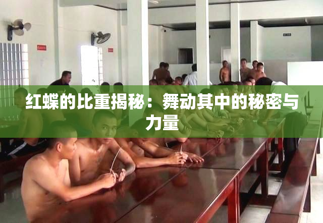 红蝶的比重揭秘：舞动其中的秘密与力量