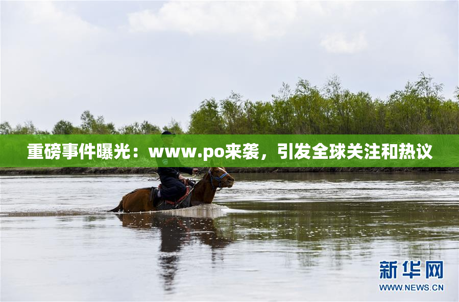 重磅事件曝光：www.ро来袭，引发全球关注和热议