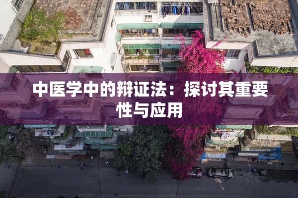 中医学中的辩证法：探讨其重要性与应用