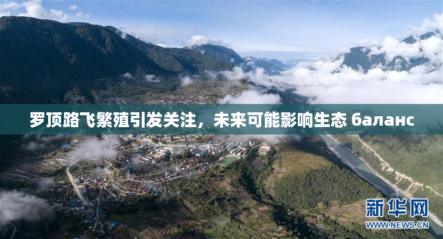 罗顶路飞繁殖引发关注，未来可能影响生态 баланс