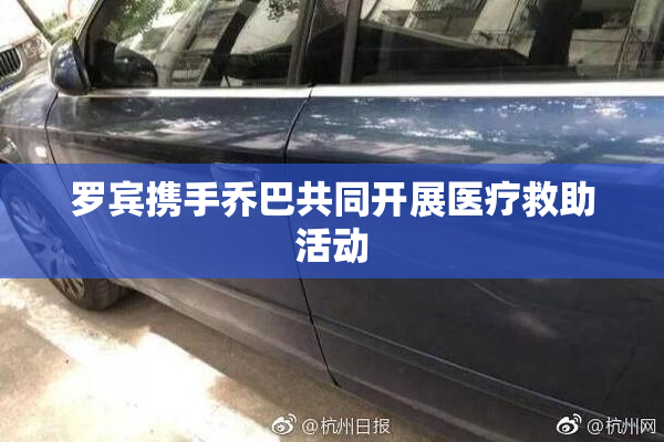 罗宾携手乔巴共同开展医疗救助活动