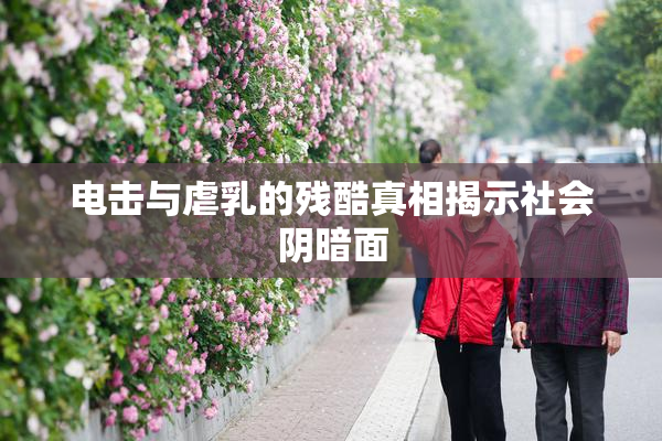 电击与虐乳的残酷真相揭示社会阴暗面