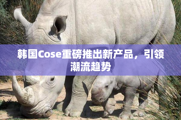韩国Cose重磅推出新产品，引领潮流趋势