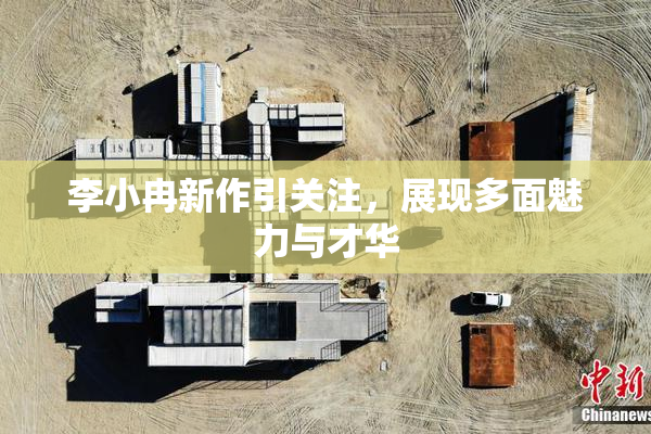 李小冉新作引关注，展现多面魅力与才华