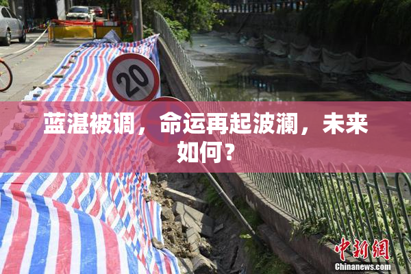 蓝湛被调，命运再起波澜，未来如何？