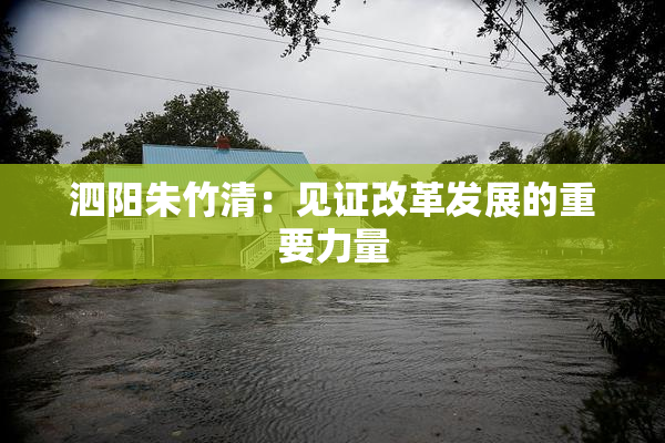 泗阳朱竹清：见证改革发展的重要力量