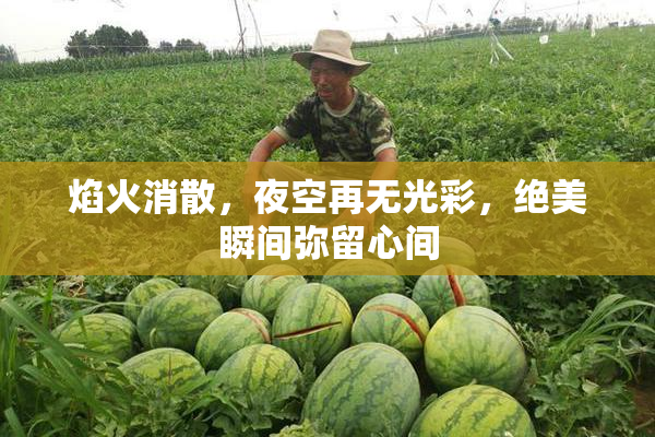 焰火消散，夜空再无光彩，绝美瞬间弥留心间