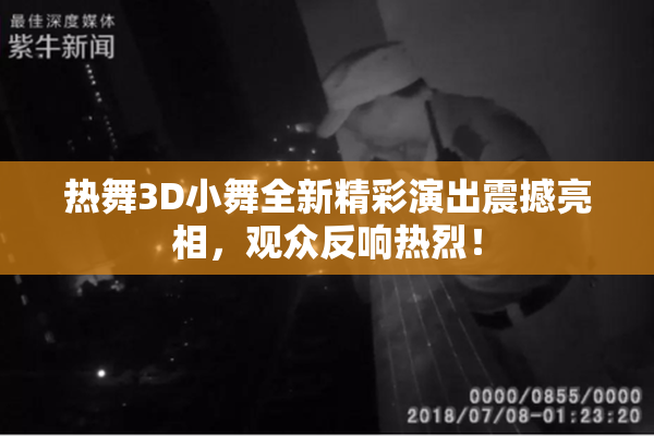 热舞3D小舞全新精彩演出震撼亮相，观众反响热烈！