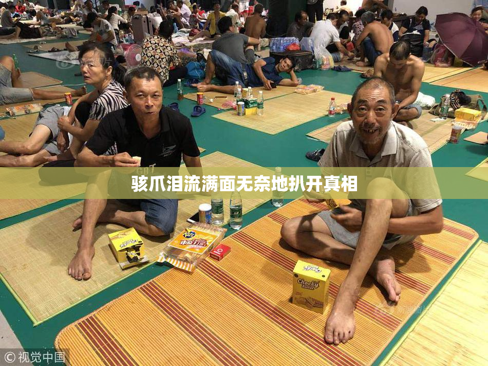 骇爪泪流满面无奈地扒开真相