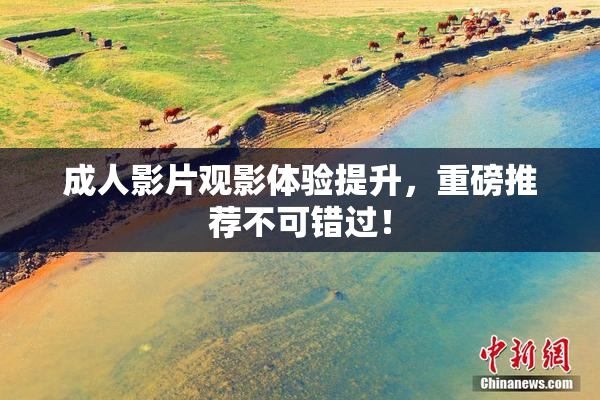 成人影片观影体验提升，重磅推荐不可错过！