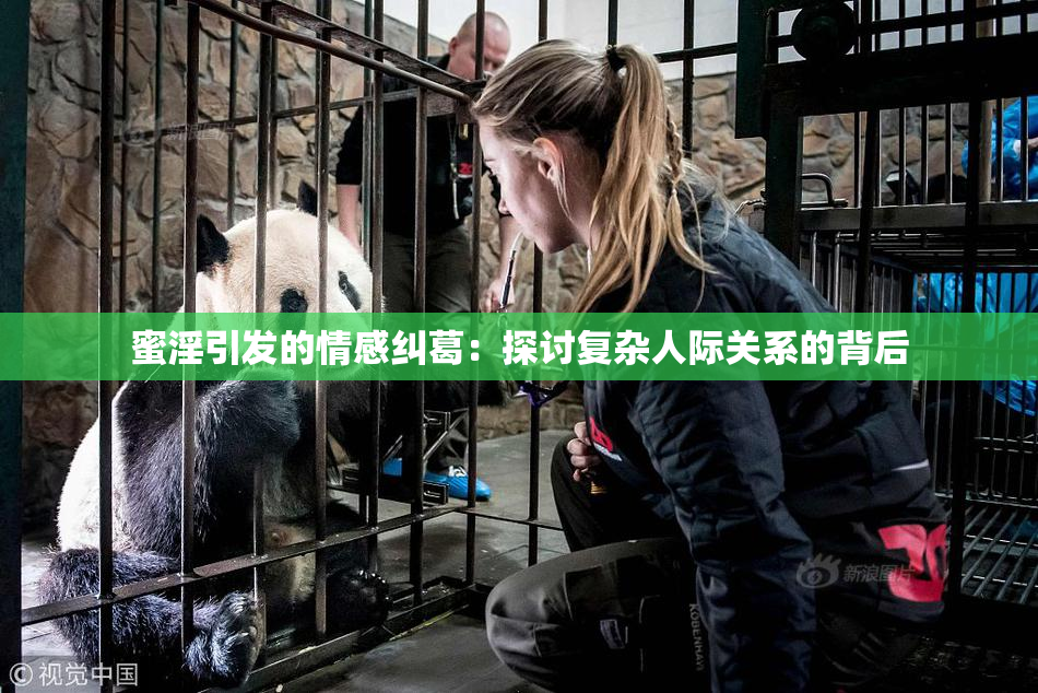 蜜淫引发的情感纠葛：探讨复杂人际关系的背后