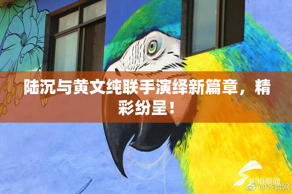 陆沉与黄文纯联手演绎新篇章，精彩纷呈！