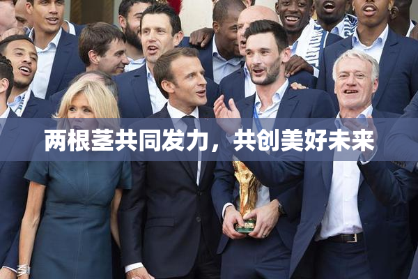 两根茎共同发力，共创美好未来