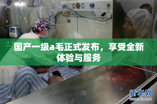 国产一级a毛正式发布，享受全新体验与服务