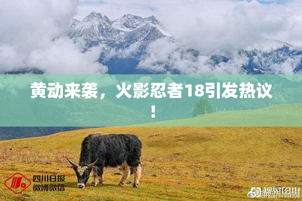 黄动来袭，火影忍者18引发热议！
