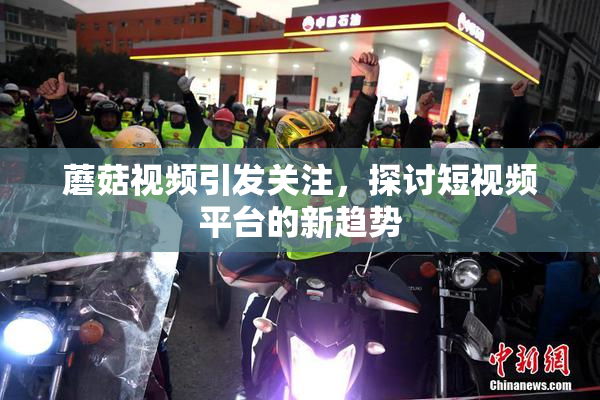 蘑菇视频引发关注，探讨短视频平台的新趋势