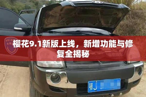 樱花9.1新版上线，新增功能与修复全揭秘
