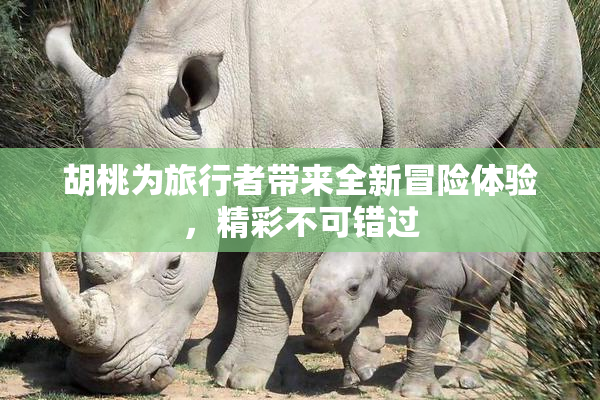 胡桃为旅行者带来全新冒险体验，精彩不可错过