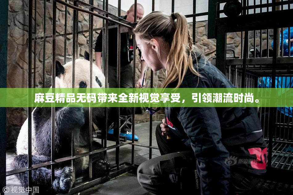 麻豆精品无码带来全新视觉享受，引领潮流时尚。