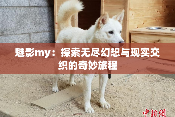 魅影my：探索无尽幻想与现实交织的奇妙旅程