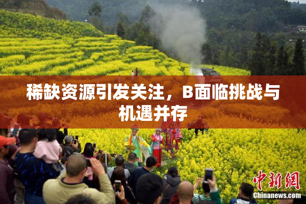 稀缺资源引发关注，B面临挑战与机遇并存