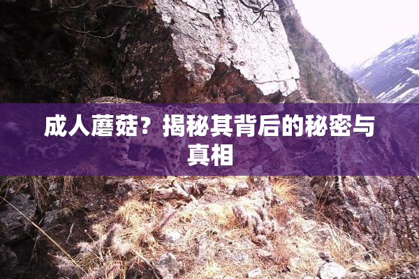 成人蘑菇？揭秘其背后的秘密与真相