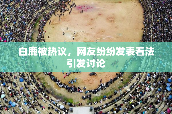 白鹿被热议，网友纷纷发表看法引发讨论