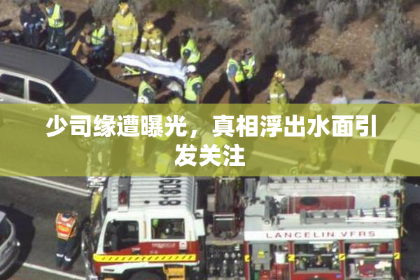 少司缘遭曝光，真相浮出水面引发关注