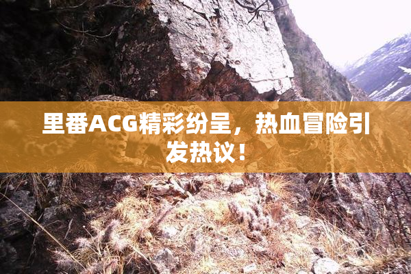 里番ACG精彩纷呈，热血冒险引发热议！