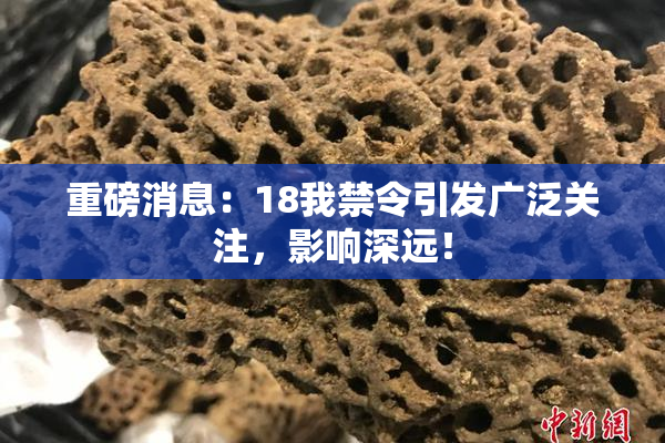 重磅消息：18我禁令引发广泛关注，影响深远！