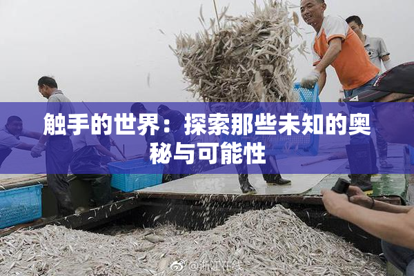触手的世界：探索那些未知的奥秘与可能性