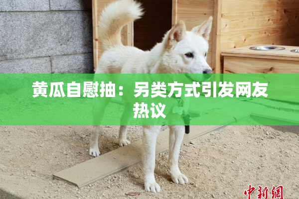 黄瓜自慰抽：另类方式引发网友热议